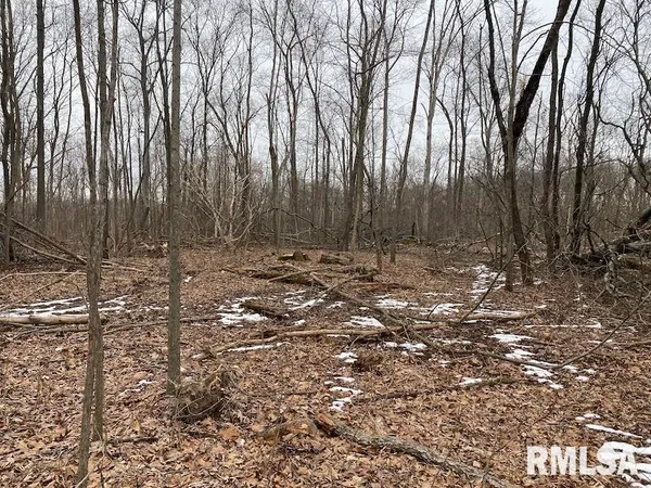 $158,400 | 0 Th, Casey, IL 62420