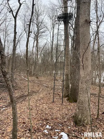 $158,400 | 0 Th, Casey, IL 62420