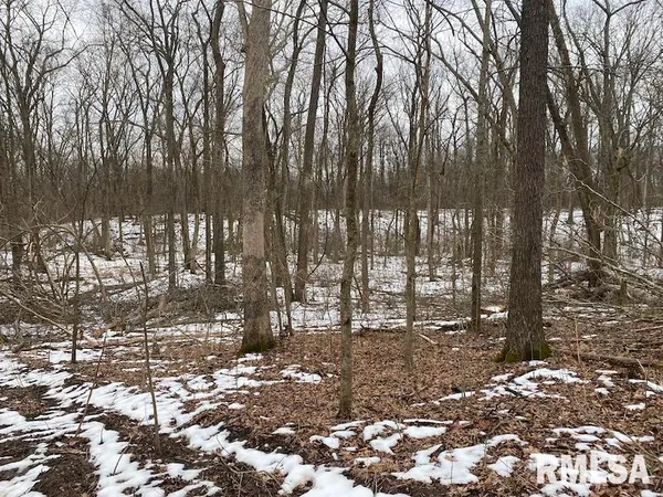 $158,400 | 0 Th, Casey, IL 62420