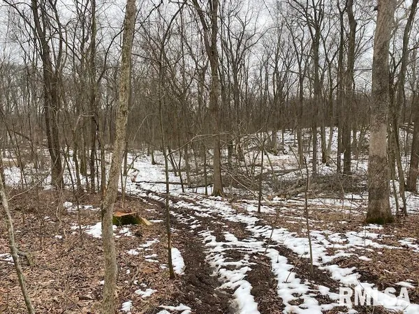 $158,400 | 0 Th, Casey, IL 62420