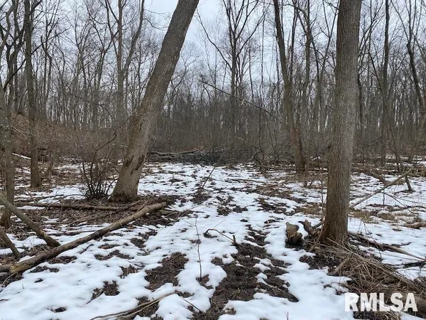 $158,400 | 0 Th, Casey, IL 62420