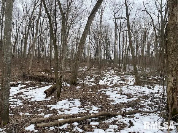 $158,400 | 0 Th, Casey, IL 62420