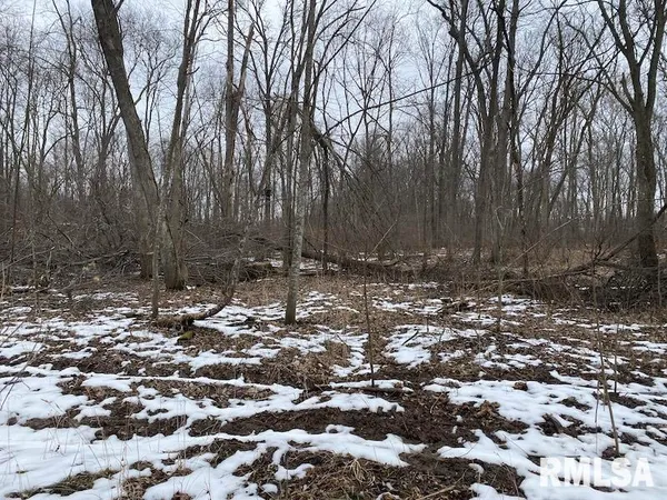 $158,400 | 0 Th, Casey, IL 62420