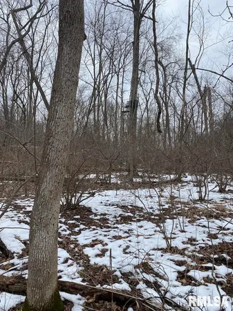 $158,400 | 0 Th, Casey, IL 62420