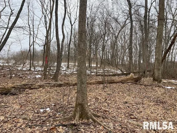 $158,400 | 0 Th, Casey, IL 62420