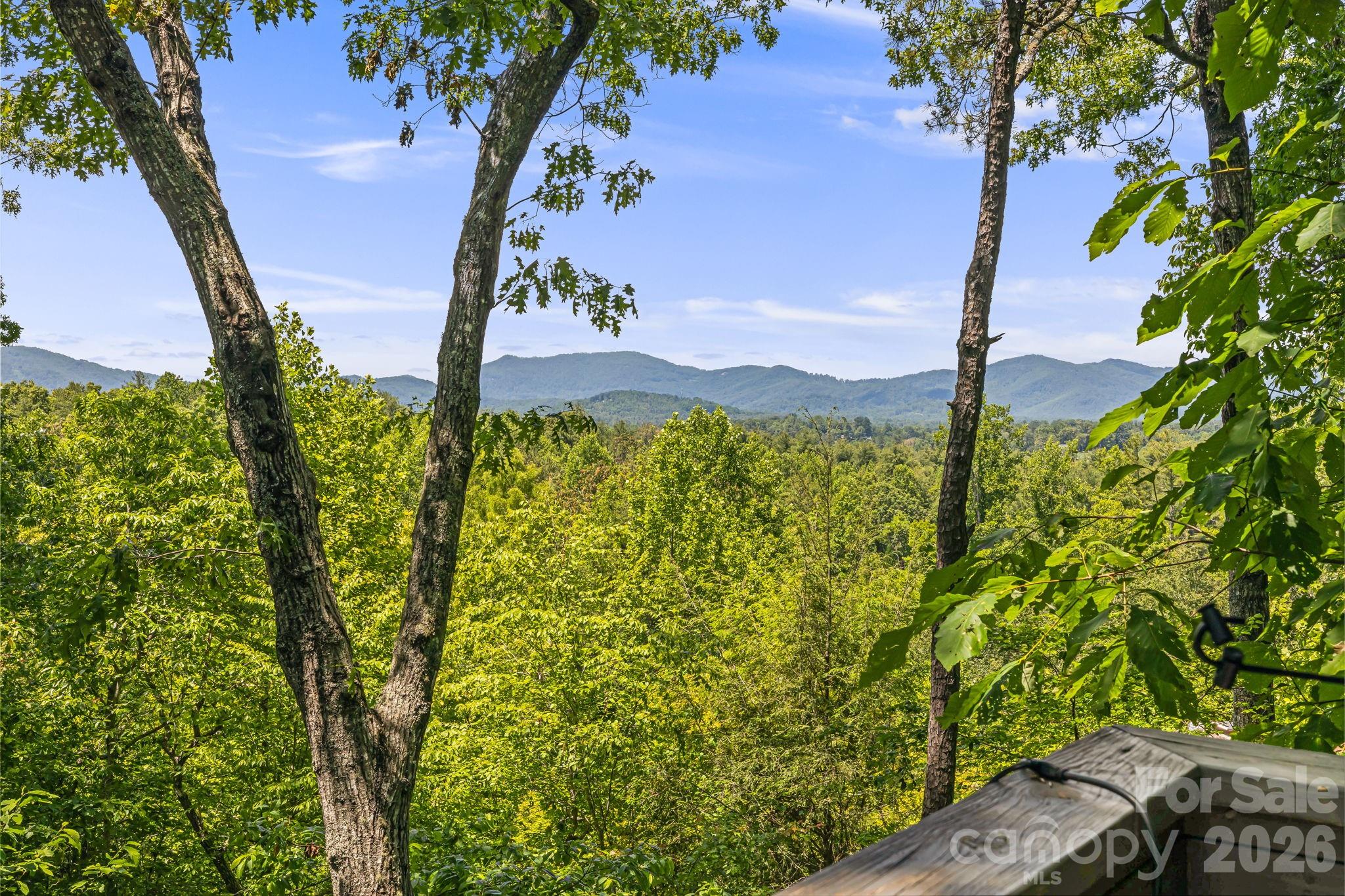 5 Saddle Ridge Fletcher, NC 28732 - Photo 4 of 39