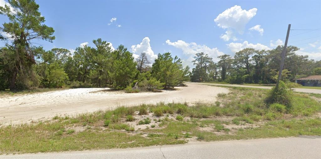 Northern Avenue Leesburg, FL 34788 - Photo 6 of 7 a view of a yard