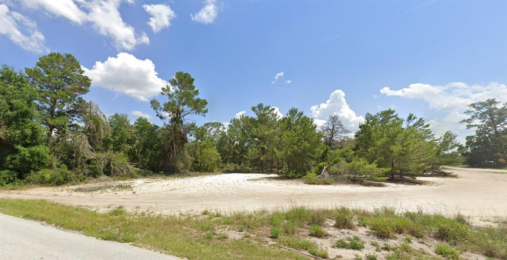 Northern Avenue Leesburg, FL 34788 - Photo 7 of 7 a view of a flower in a yard