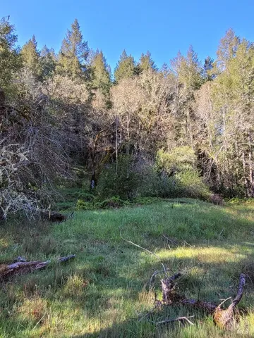 a view of a lush green outdoor space with a lake view