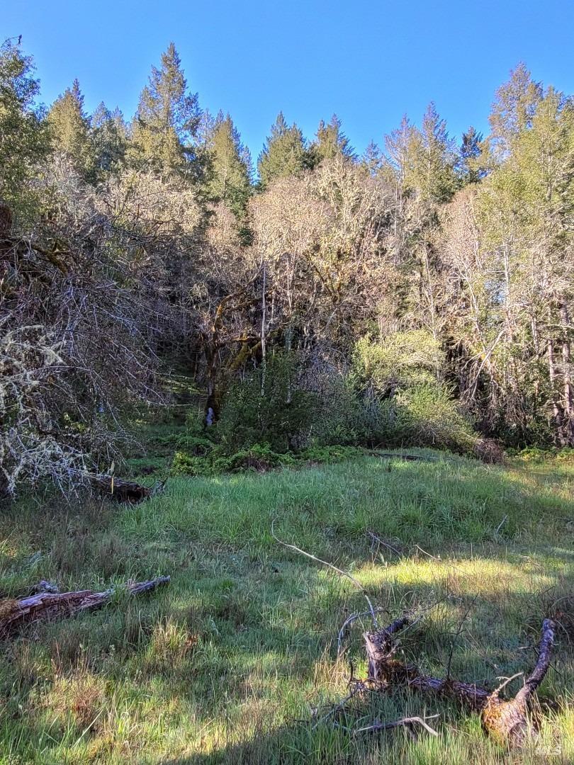 0 Muir Mill Road Willits, CA 95490 - Photo 14 of 25 a view of a lush green outdoor space with a lake view
