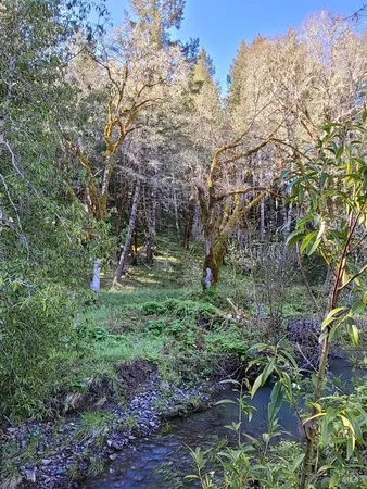 a view of outdoor space and trees