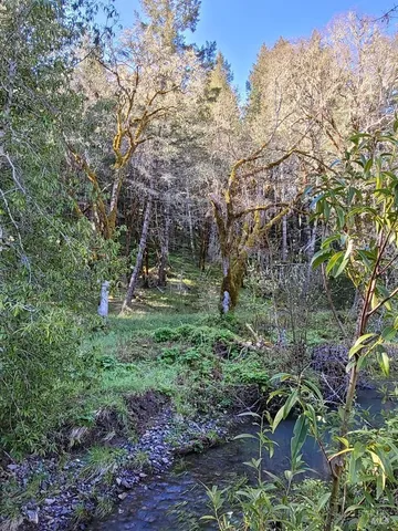 a view of outdoor space and trees