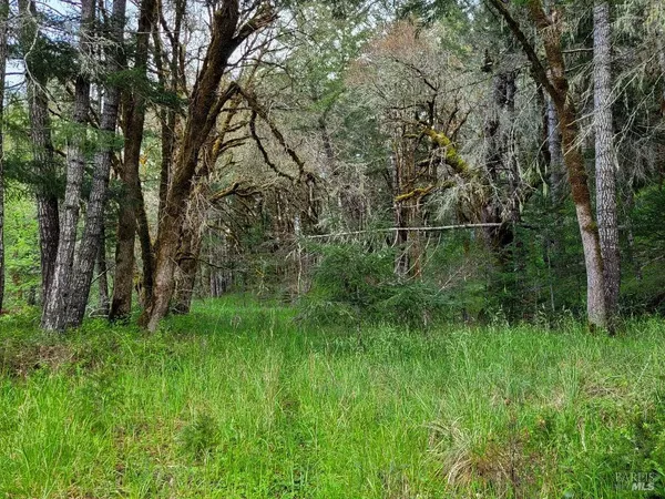 a view of a green field with a tree