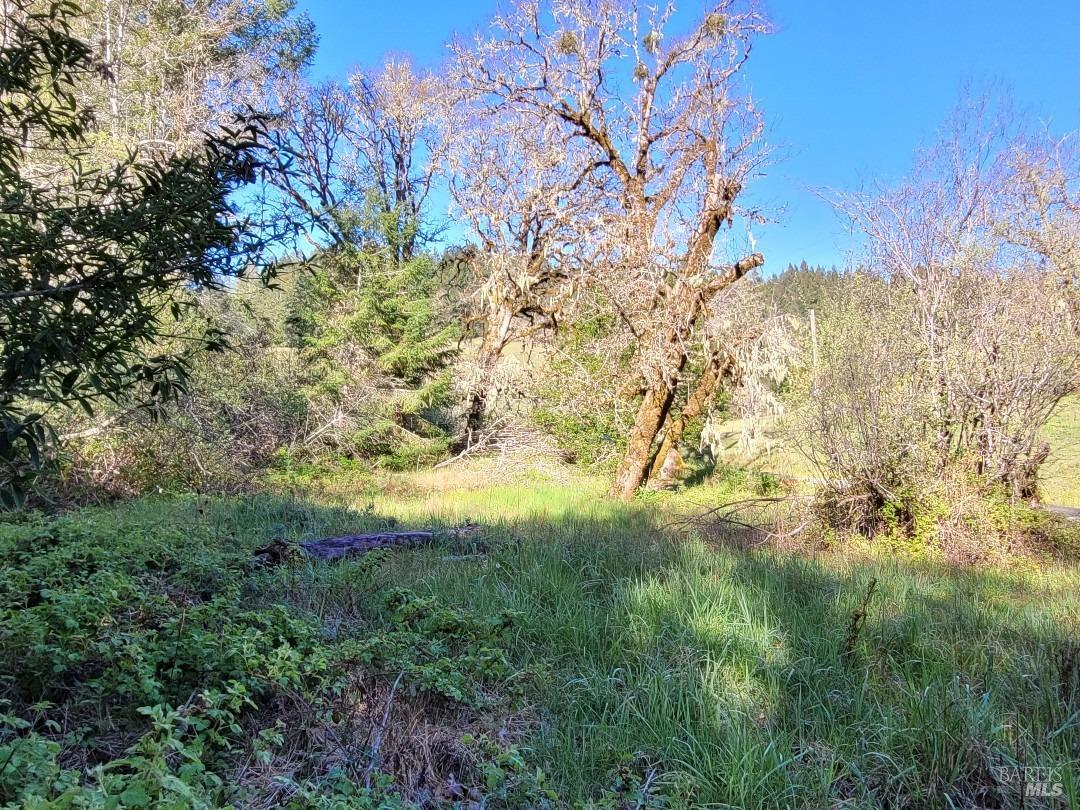 0 Muir Mill Road Willits, CA 95490 - Photo 4 of 25 a view of a yard