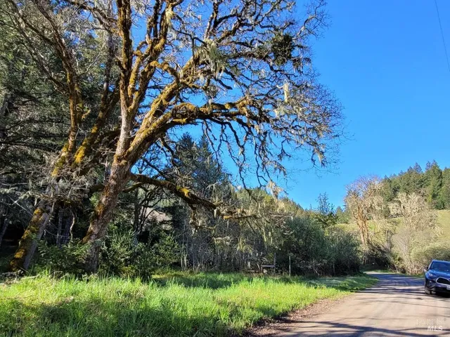 a backyard of a house with lots of green space