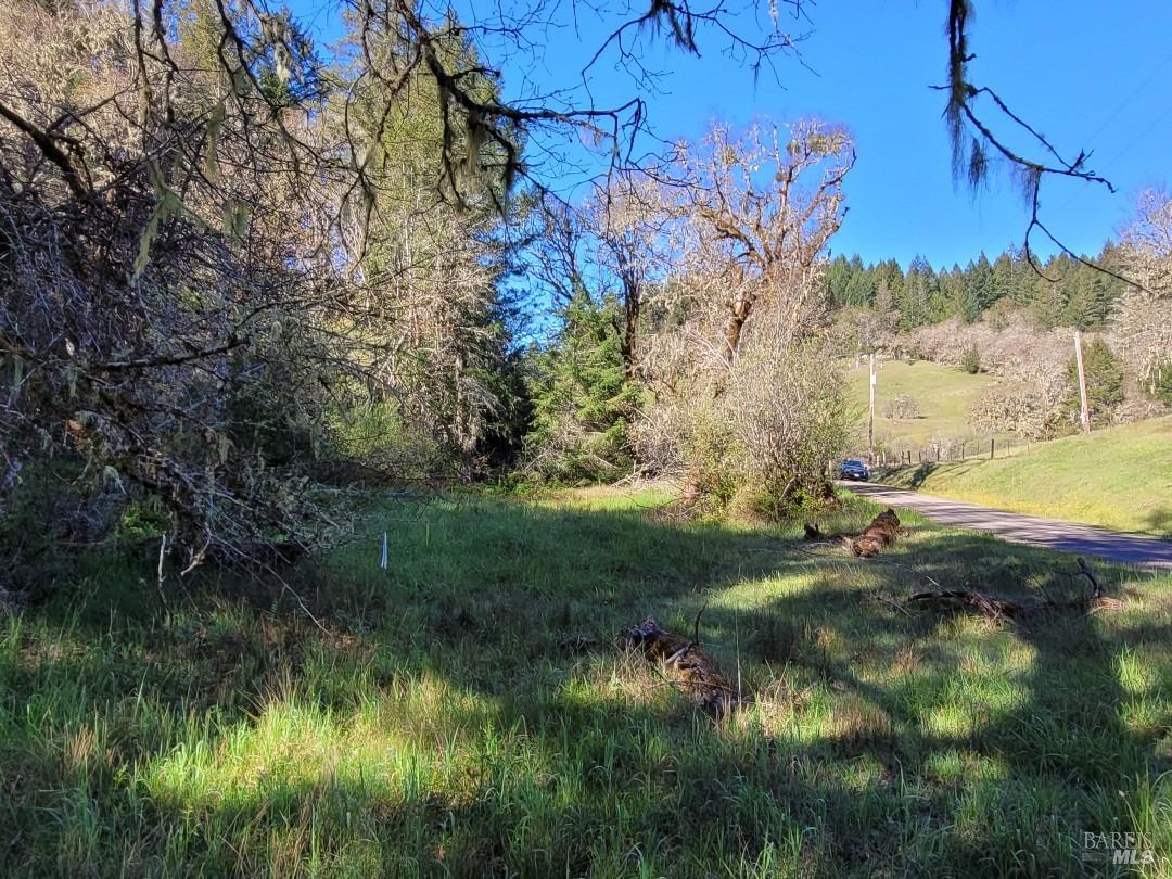 0 Muir Mill Road Willits, CA 95490 - Photo 10 of 25 a view of a yard