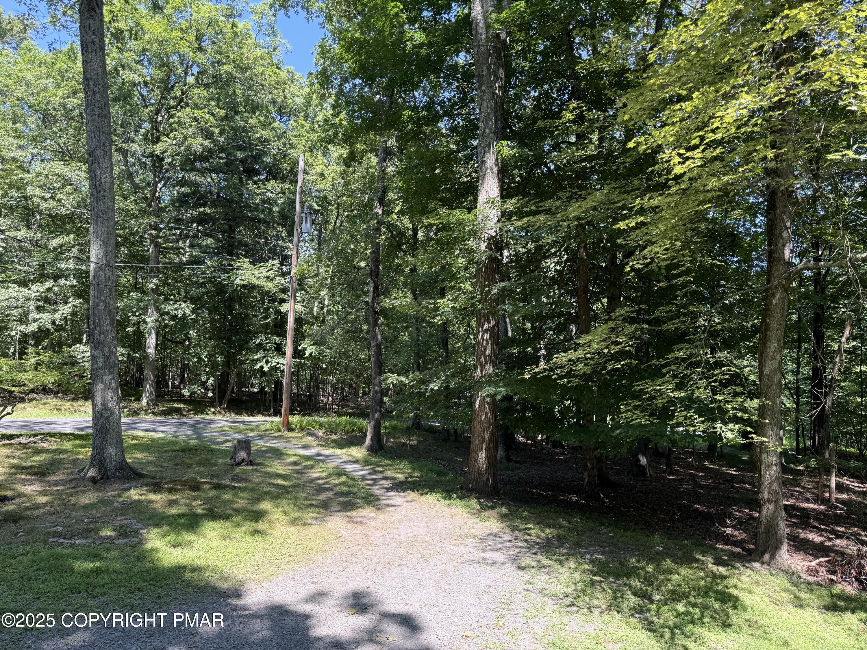 2122 Woodthrush Court Bushkill, PA 18324 - Photo 2 of 29 a view of a tree in a yard