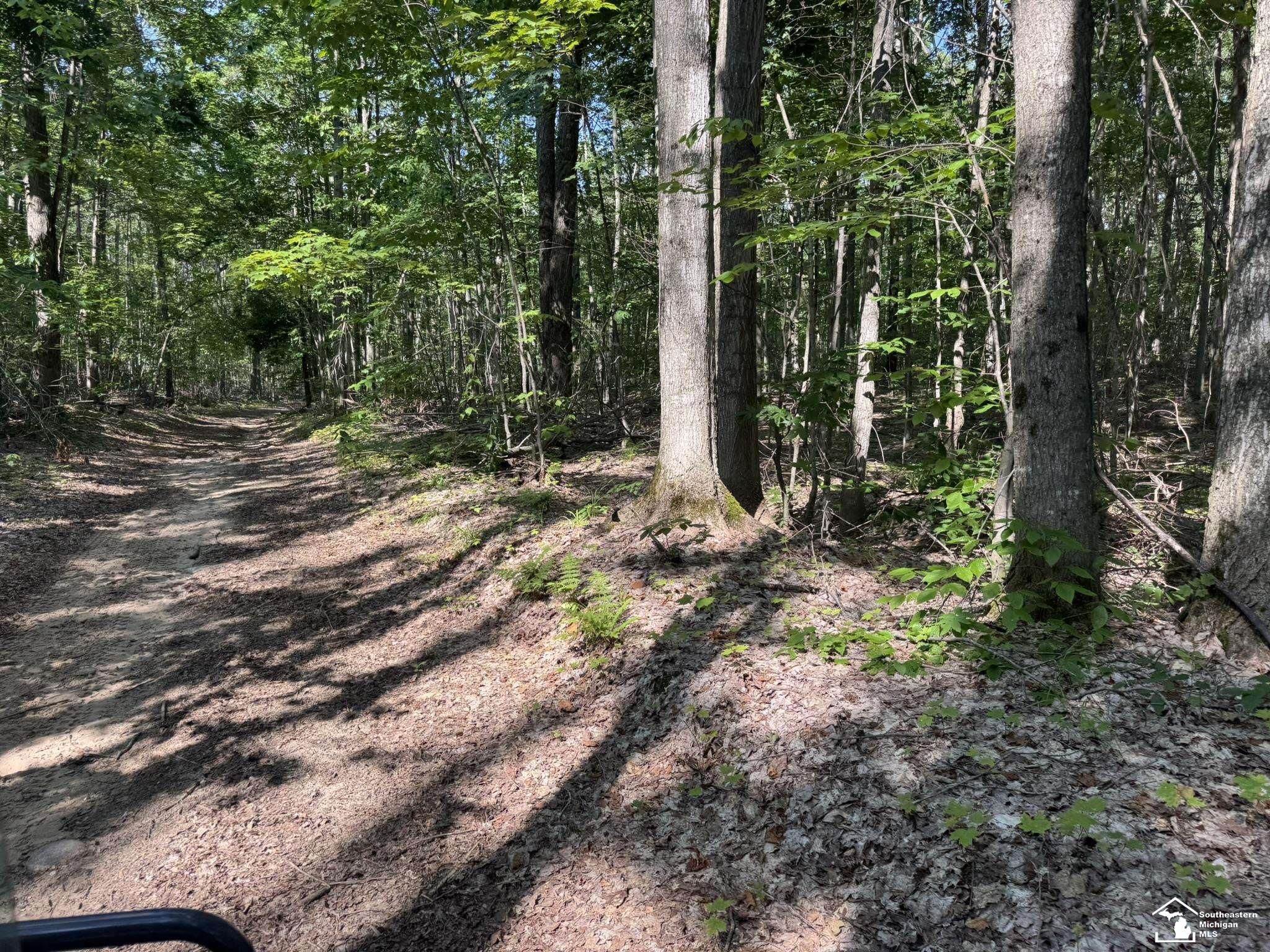 0 Hayes Tower Road Gaylord, MI 49735 - Photo 12 of 14