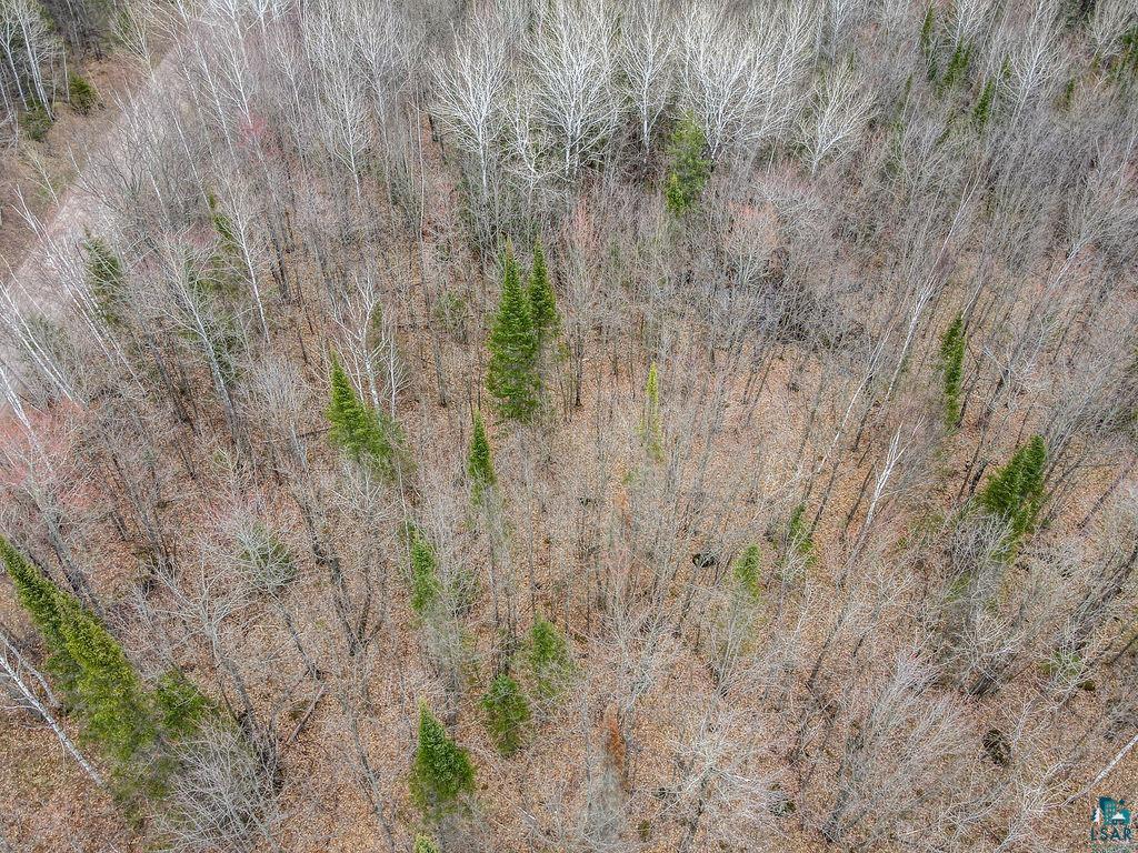 Xxx Stark Road Cloquet, MN 55720 - Photo 9 of 13
