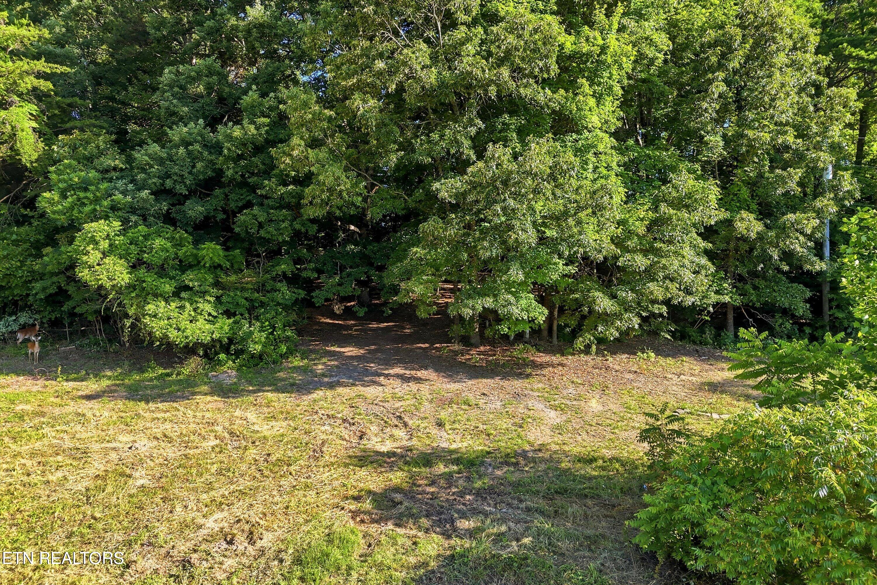 0 Daniels Road, Unit 4 Knoxville, TN 37938 - Photo 3 of 54 69-Daniels Rd-69