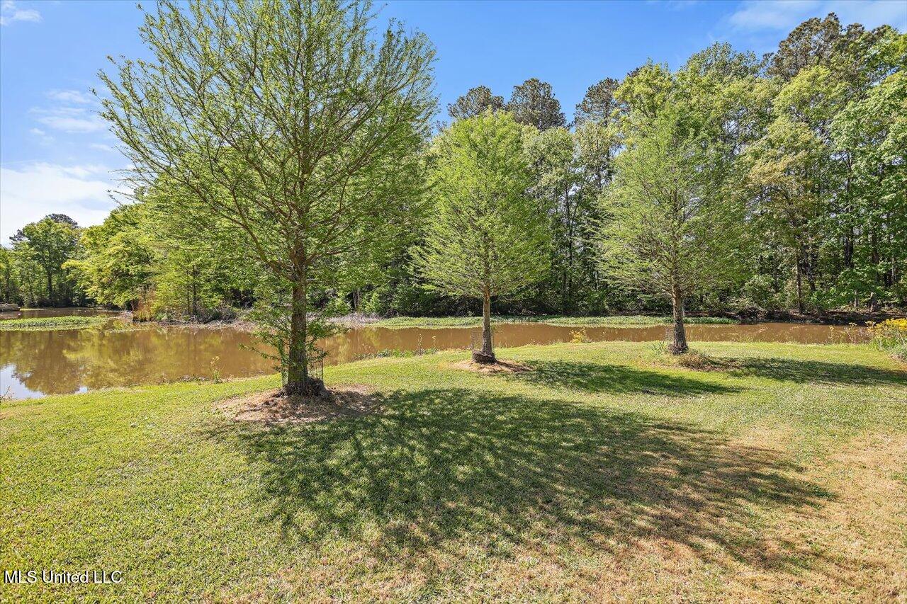 1109 Foxpoint Brandon, MS 39047 - Photo 71 of 99 064-1109 Foxpoint