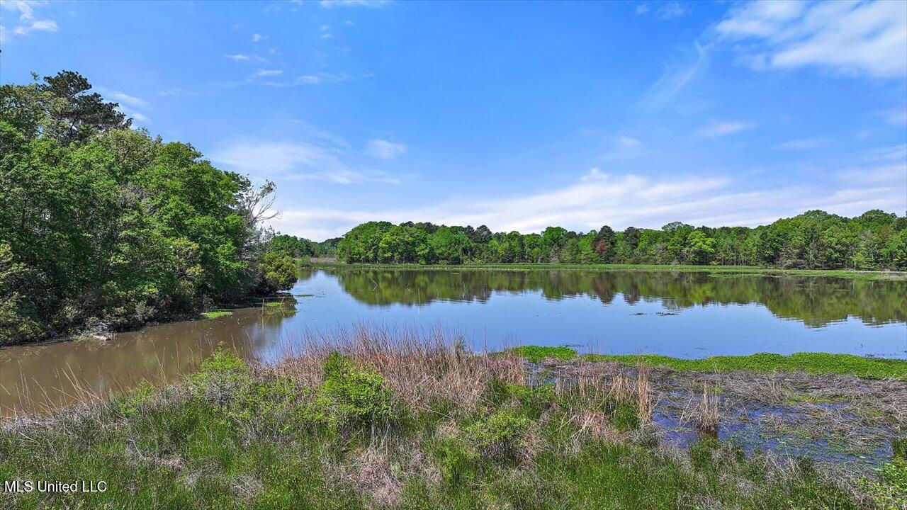1109 Foxpoint Brandon, MS 39047 - Photo 87 of 99 108-1109 Foxpoint