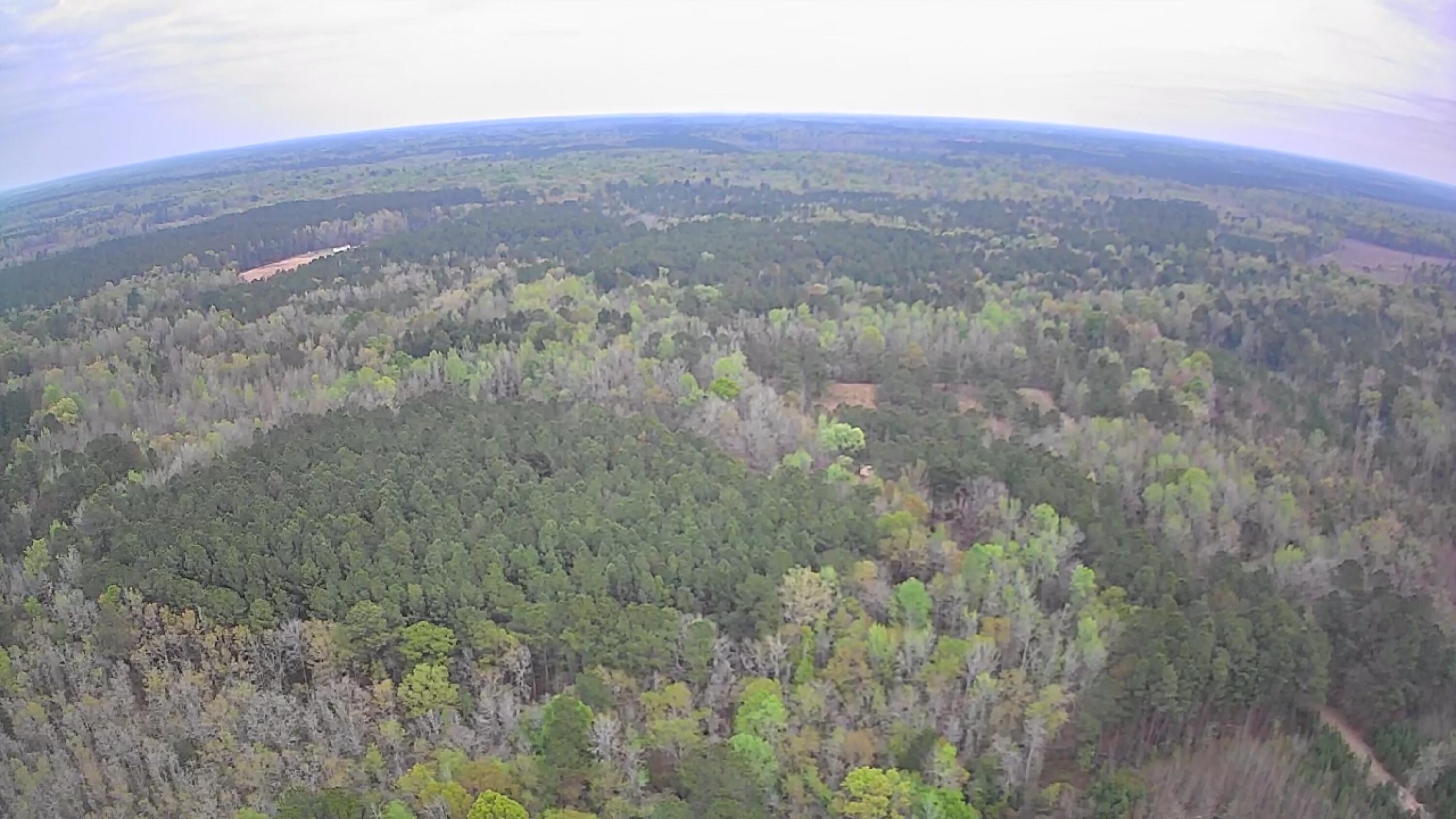 Tbd Tbd Salcro Lane Smoaks, SC 29481 - Photo 2 of 3 IMG_2814