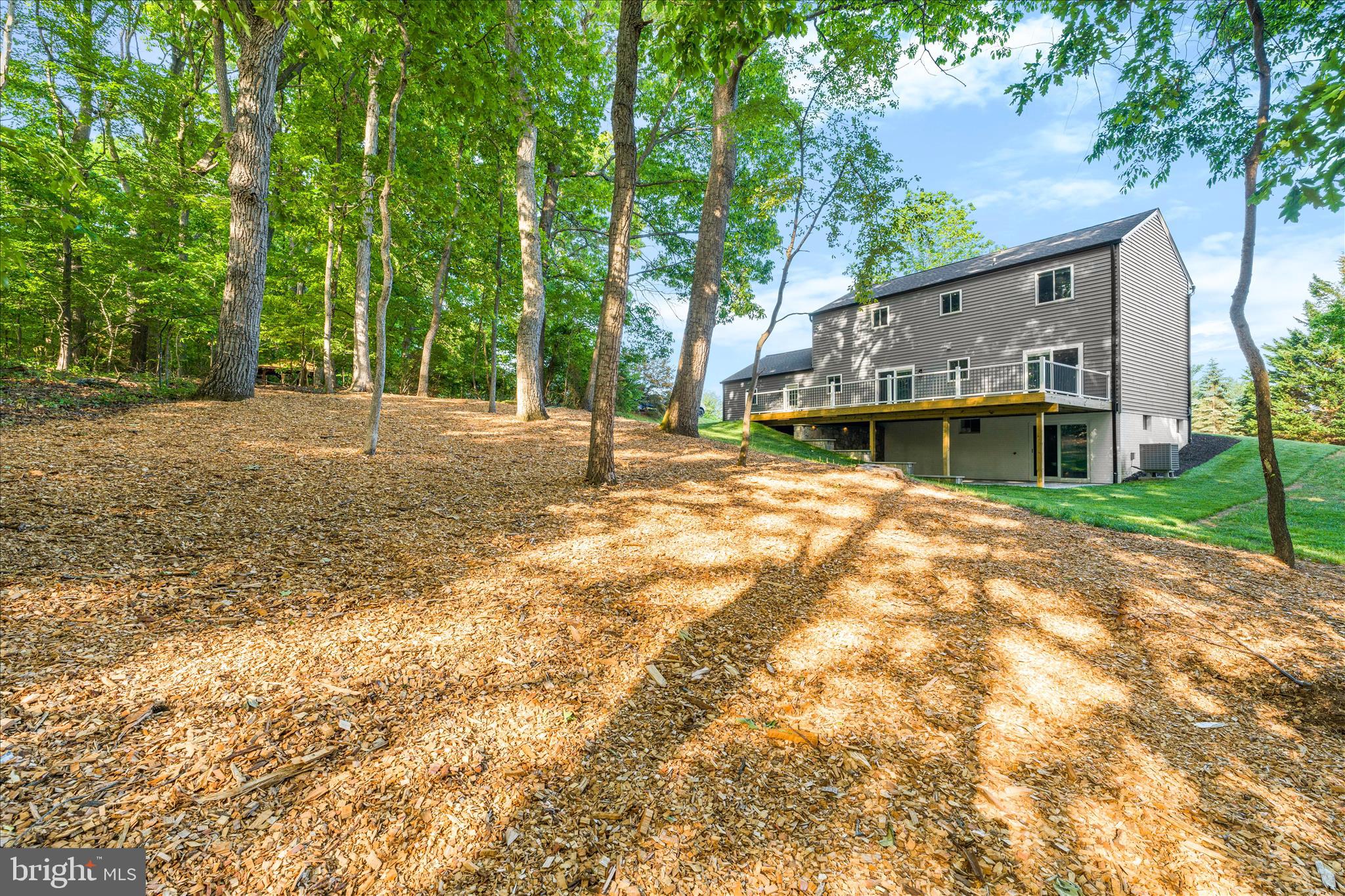 3908 Shakespeare Way Monrovia, MD 21770 - Photo 42 of 59 a view of a house with a yard and large tree