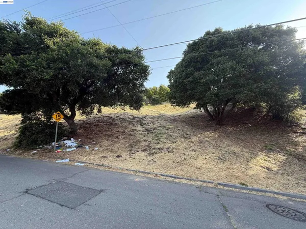 a view of dirt yard with a large tree