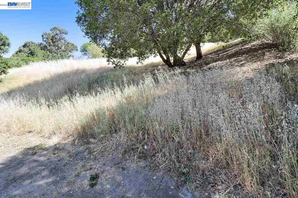 a view of a yard