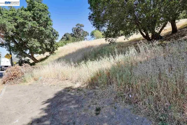 a view of a yard next to a house