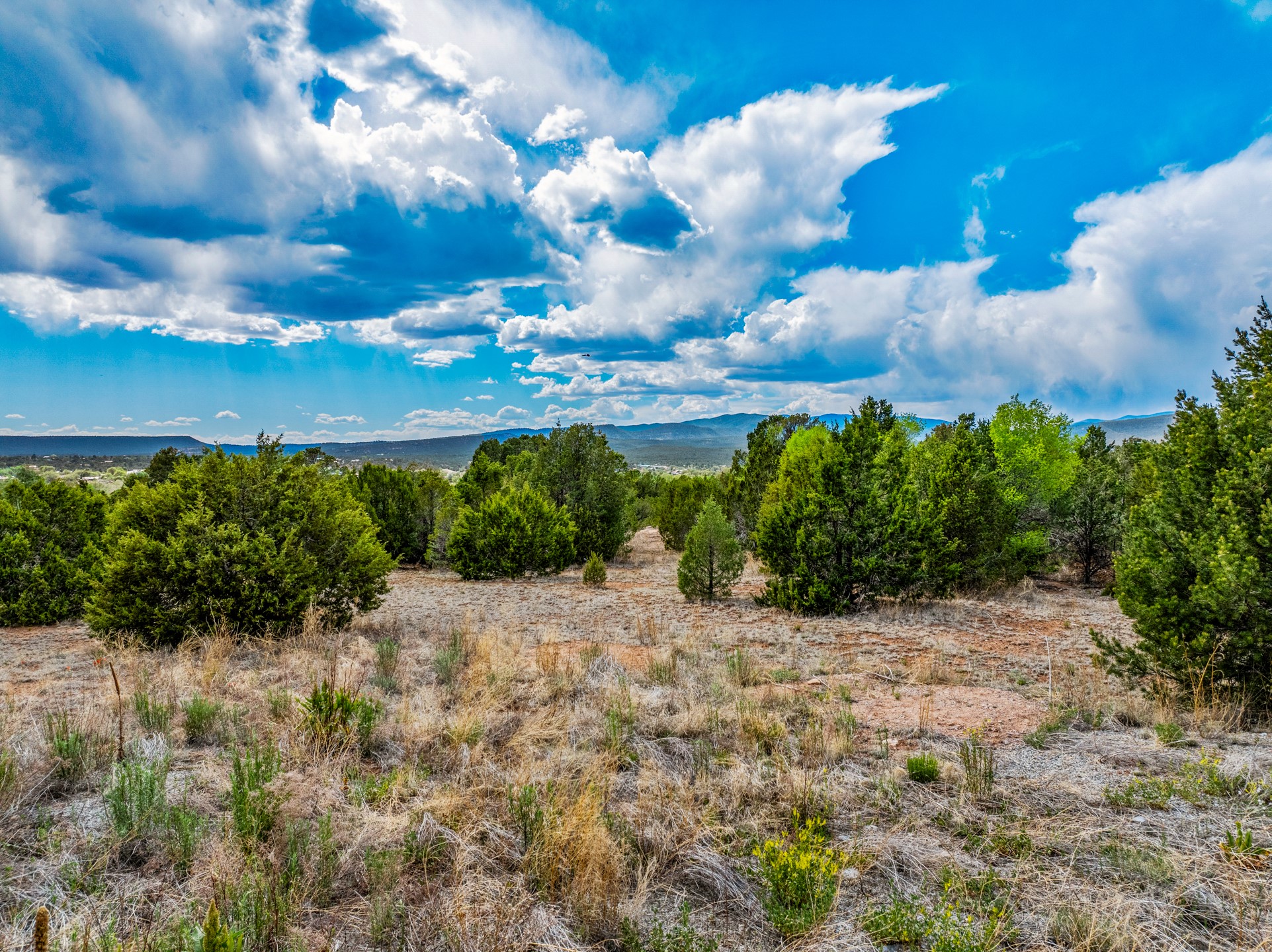 2.38-acres Old Colonias Road Pecos, NM 87552 - Photo 4 of 25