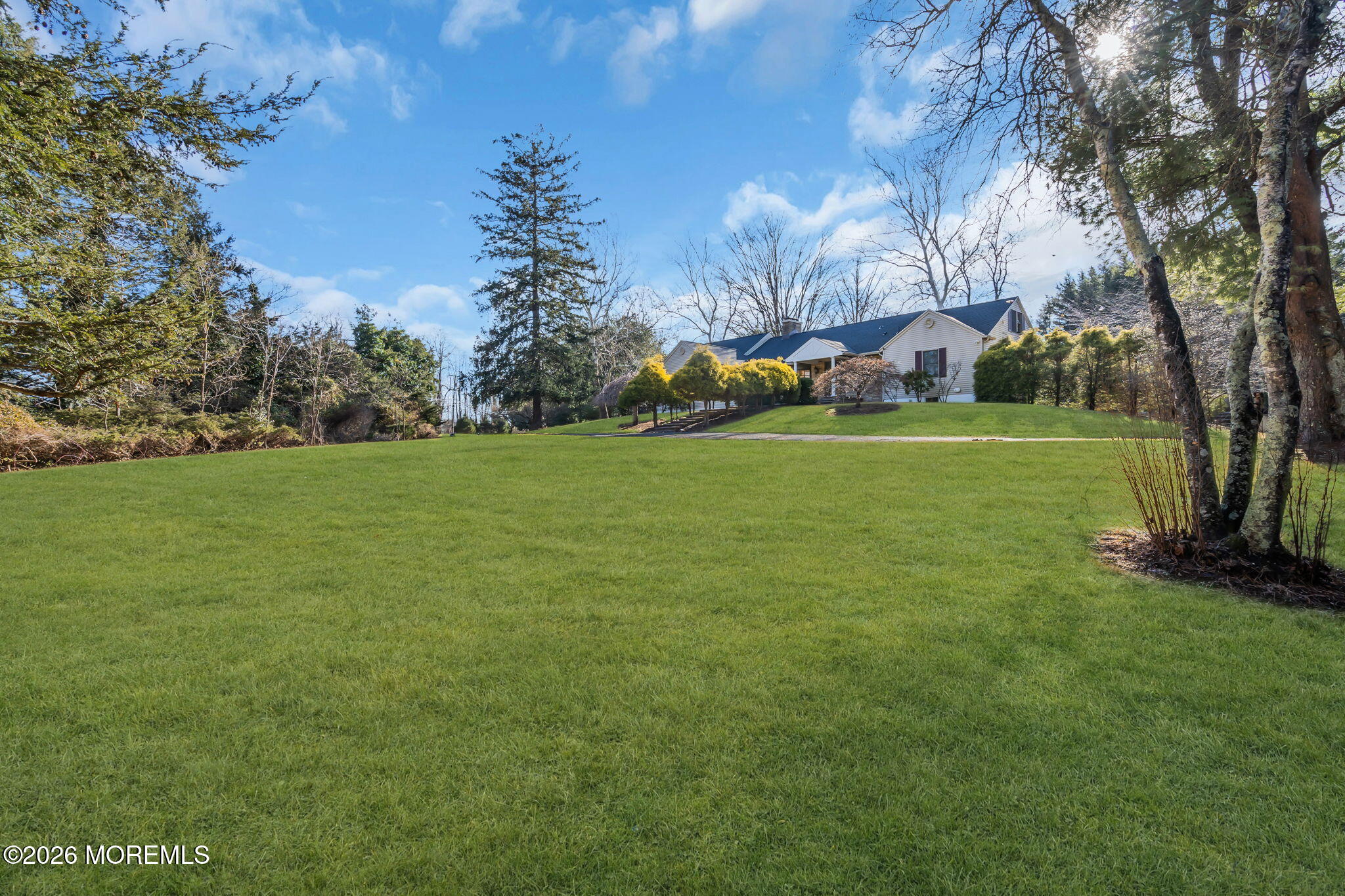 53 Montrose Road Colts Neck, NJ 07722 - Photo 31 of 43 a view of a trees in a yard