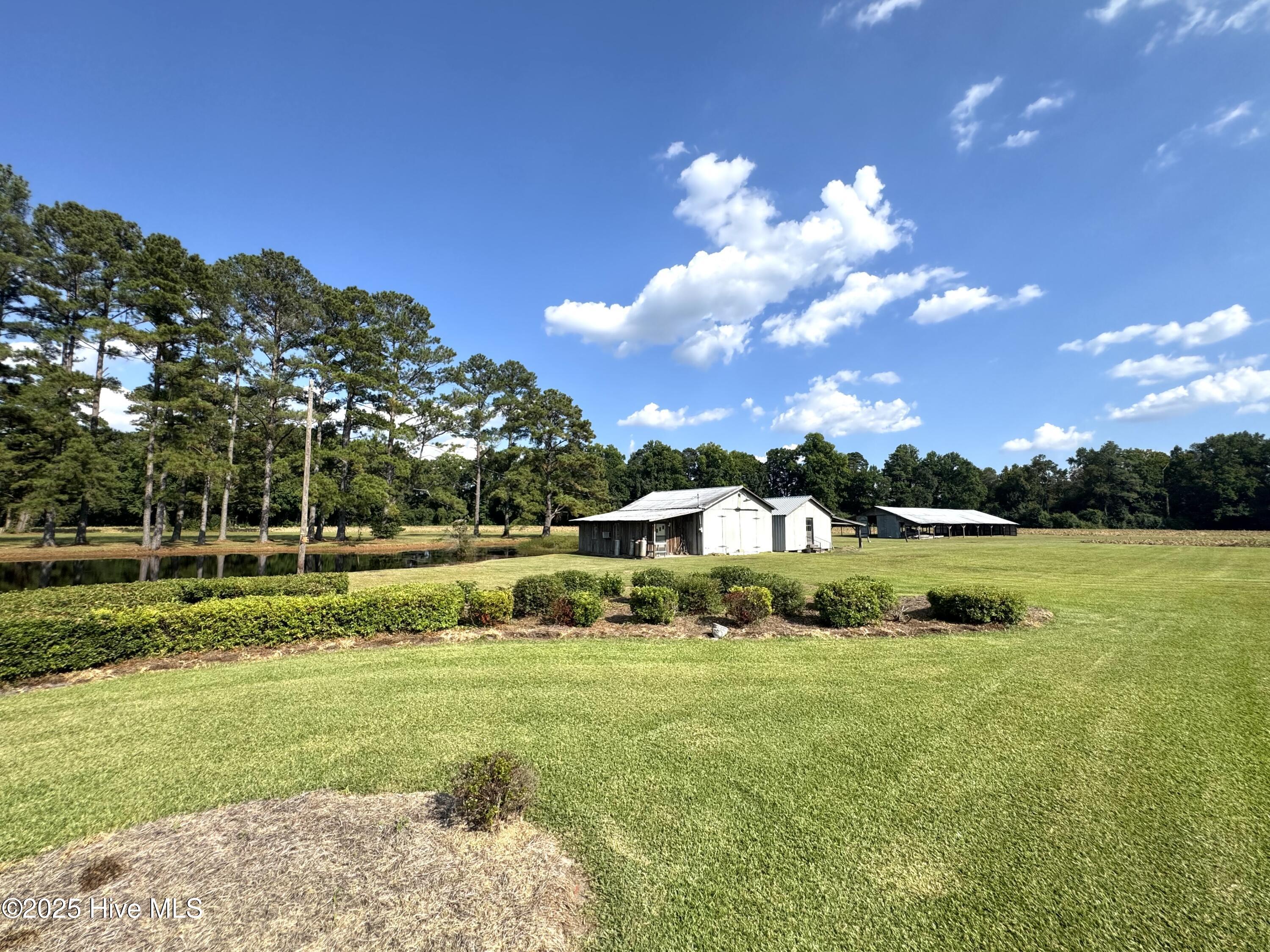 1341 Cedar Grove Church Road Cerro Gordo, NC 28430 - Photo 11 of 50 Backyard