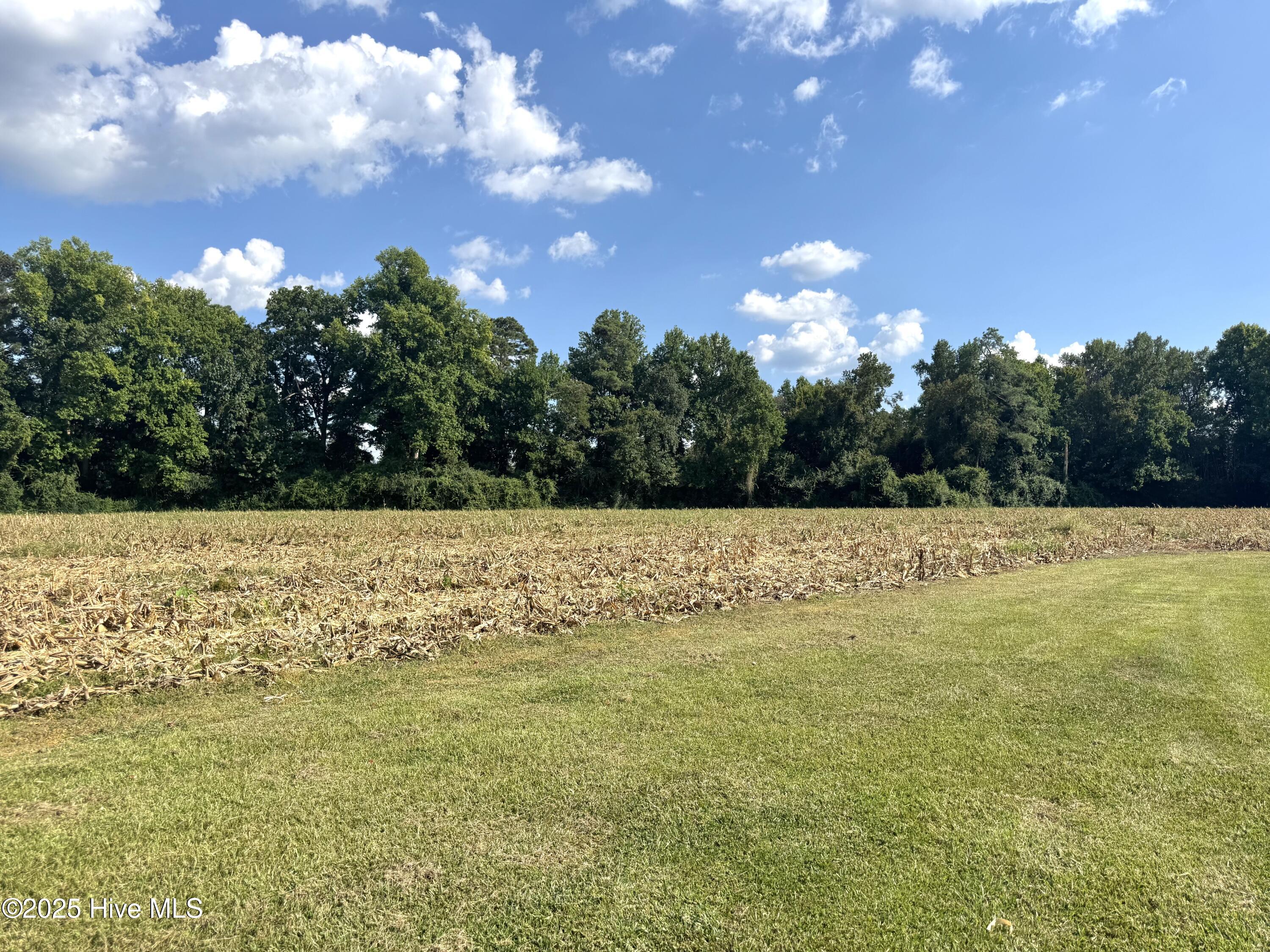 1341 Cedar Grove Church Road Cerro Gordo, NC 28430 - Photo 16 of 50 IMG_9587