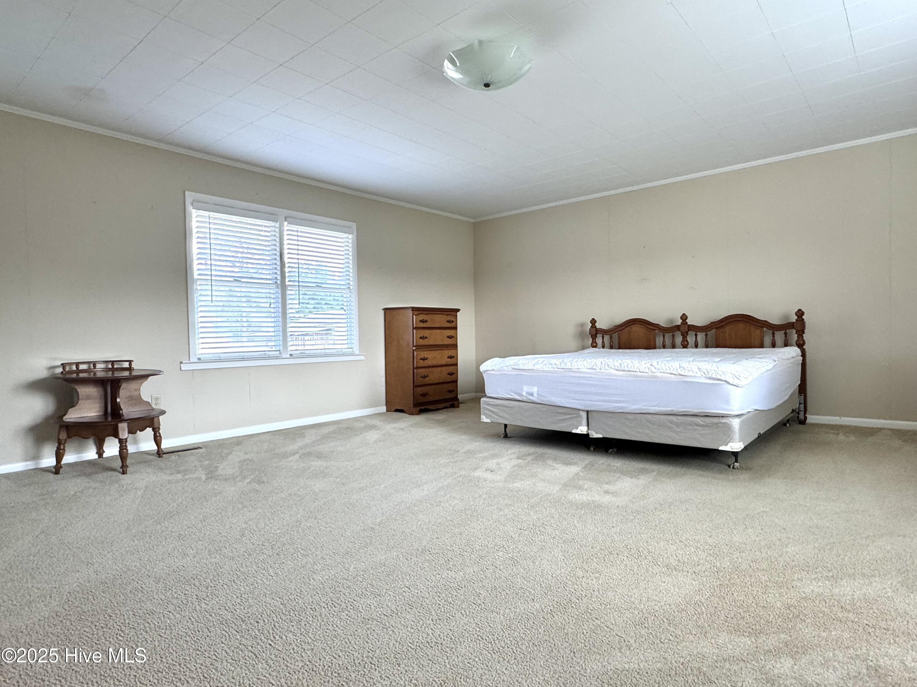 1341 Cedar Grove Church Road Cerro Gordo, NC 28430 - Photo 31 of 50 Master Bedroom