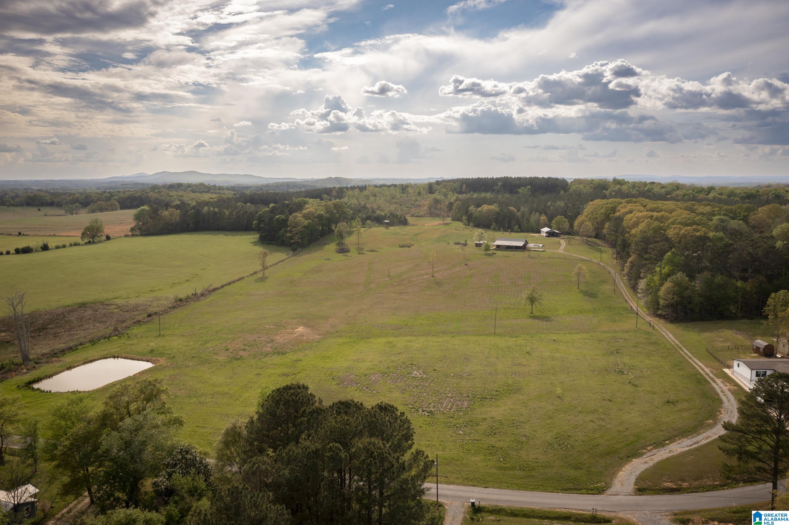 1325 Ledbetter Road Munford, AL 36268 - Photo 53 of 85