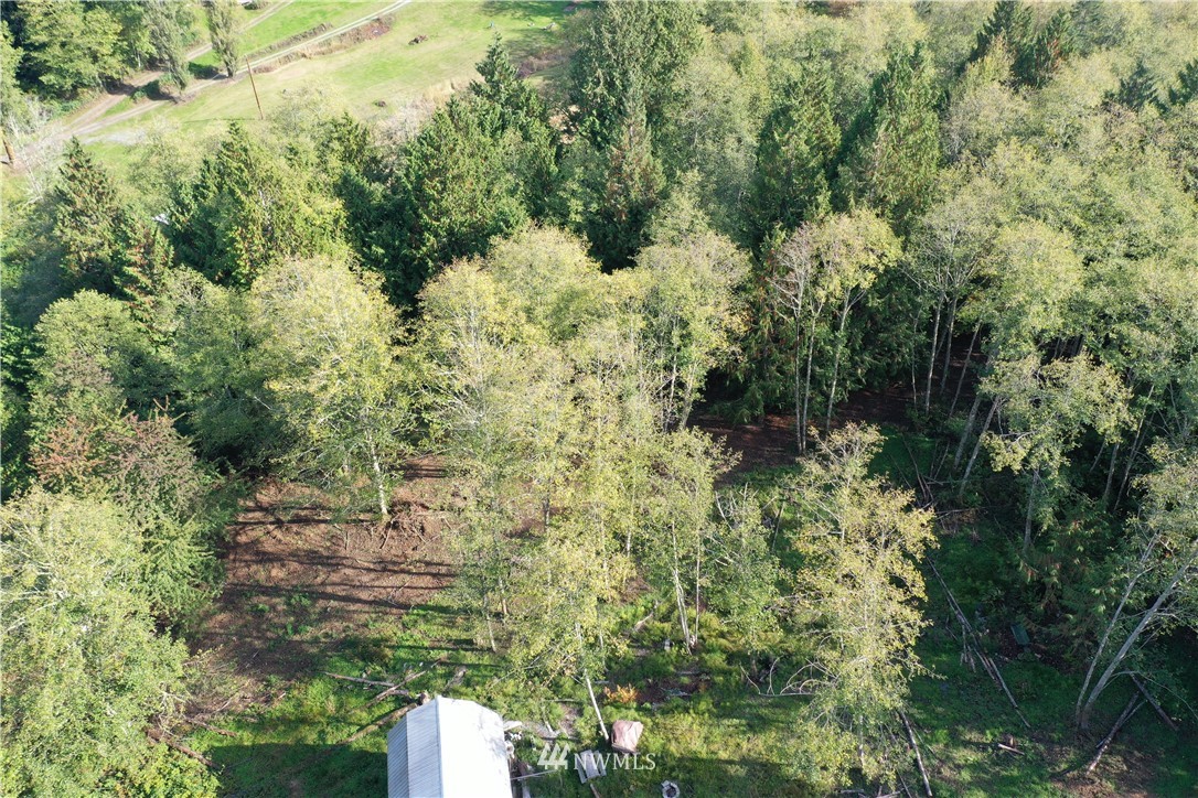 0 Amick Road Mount Vernon, WA 98274 - Photo 3 of 13 Gallery Image 3