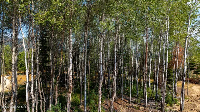 $1,000,000 | 610 Government Gulch Road, Smelterville, ID 83868