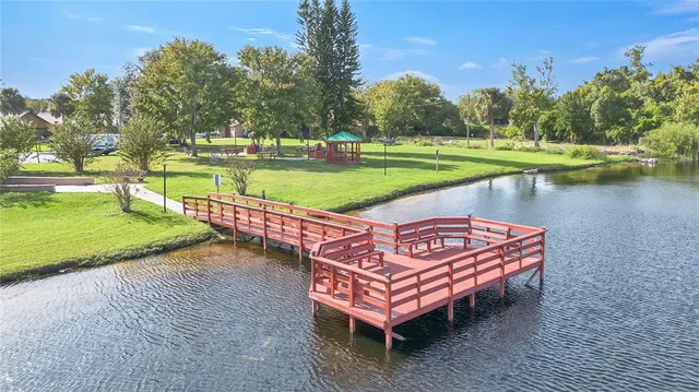 a view of a park with large trees