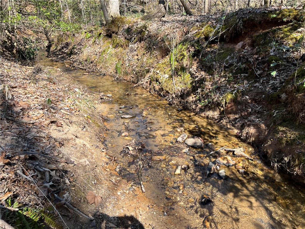 1234 Dunlap Road Anderson, SC 29621 - Photo 3 of 7 A tranquil stream meanders through a wooded landscape, offering a peaceful natural setting.
