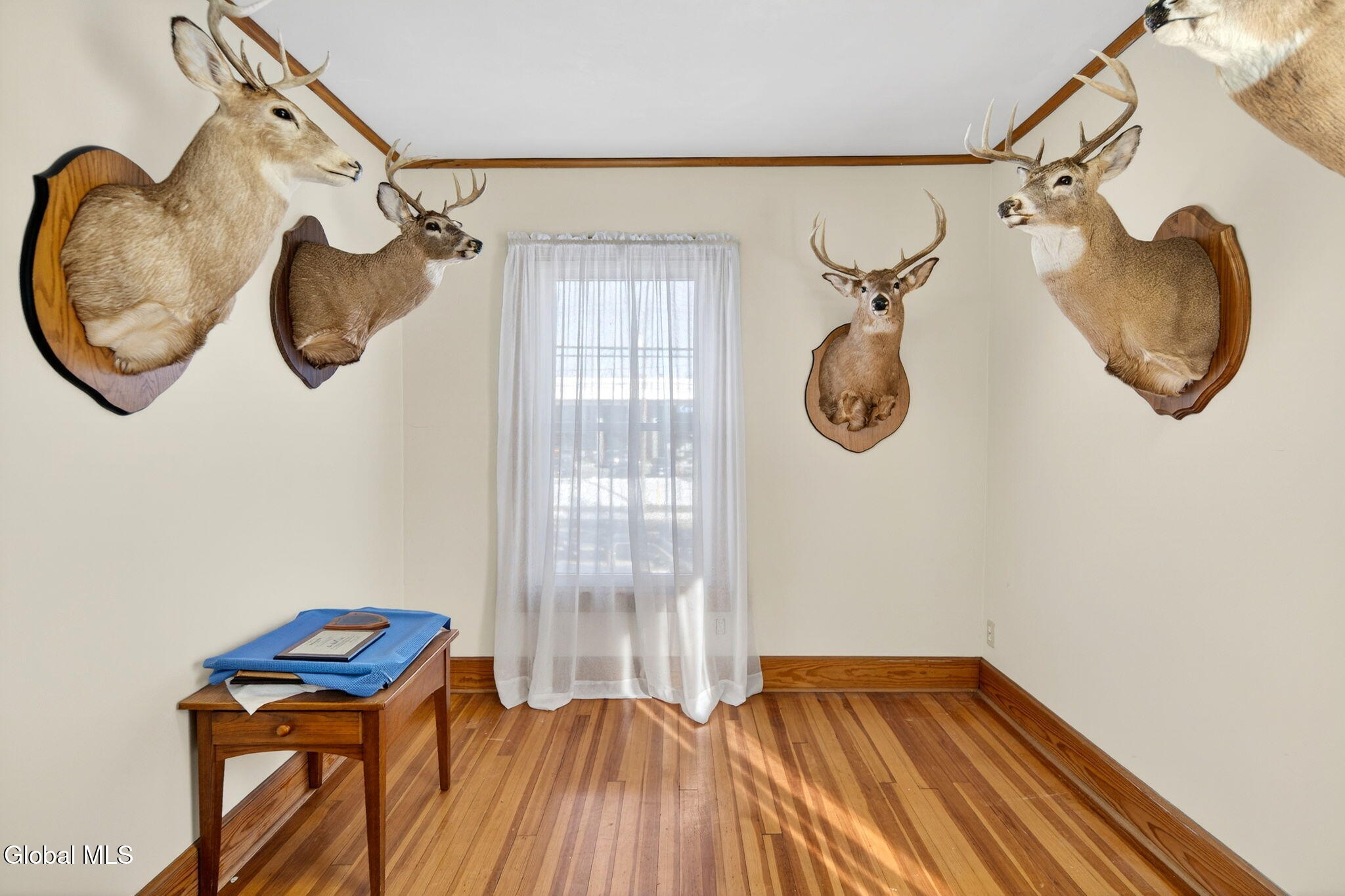 1134 Troy-Schenectady Road Colonie, NY 12110 - Photo 14 of 27 15-web-or-mls-DSC09953