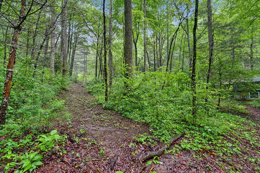 1070 Morgan Creek Road Marble, NC 28905 - Photo 11 of 40