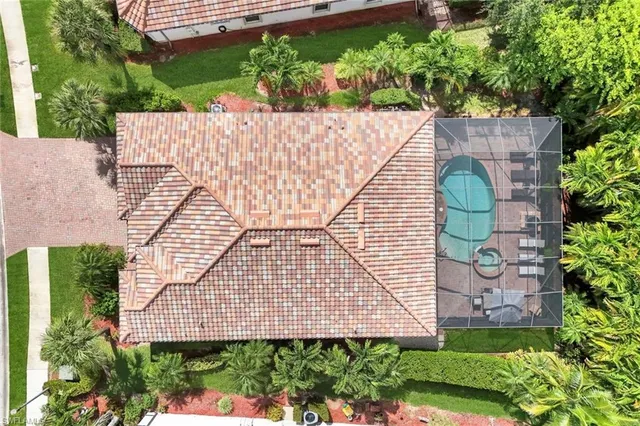 a view of a backyard with plants