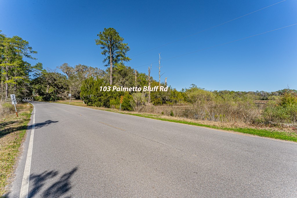 103 Palmetto Bluff Road Bluffton, SC 29910 - Photo 6 of 57 Street view.