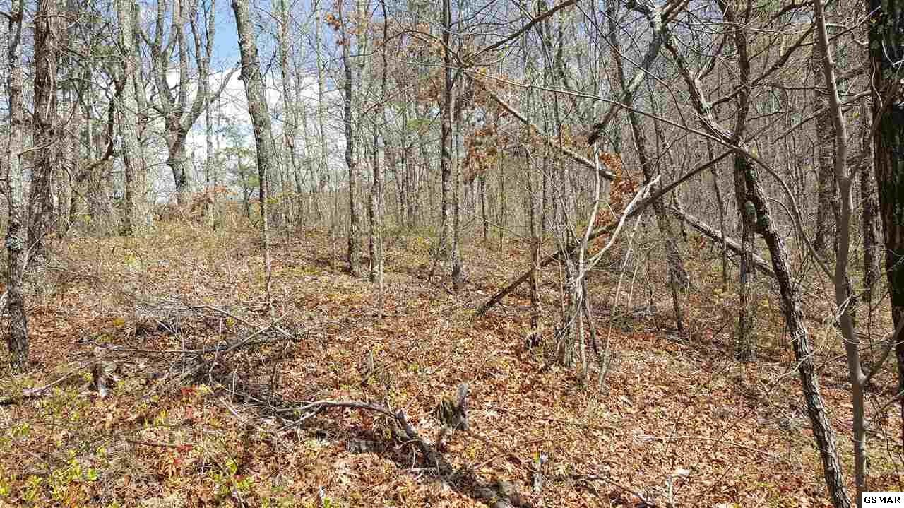 21 Cove Mountain Road Sevierville, TN 37862 - Photo 11 of 21 Gallery Image 11