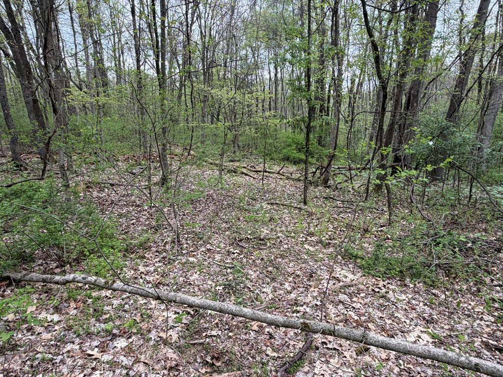 0 Long Point Road Rimersburg, PA 16248 - Photo 17 of 22 Gallery Image 17