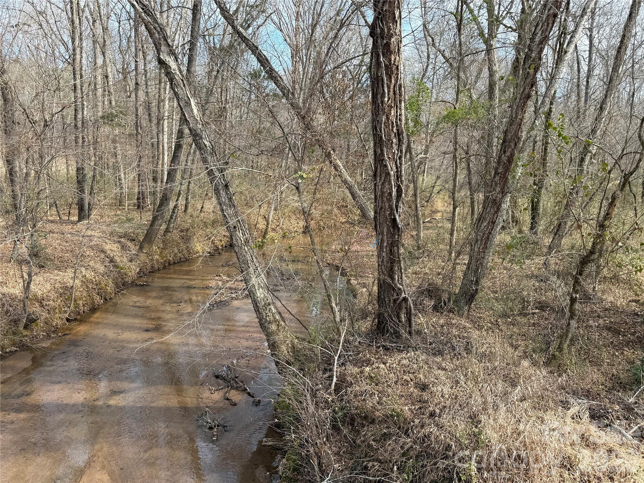 Tbd Tbd Old Catholic Church Road Blackstock, SC 29014 - Photo 6 of 9