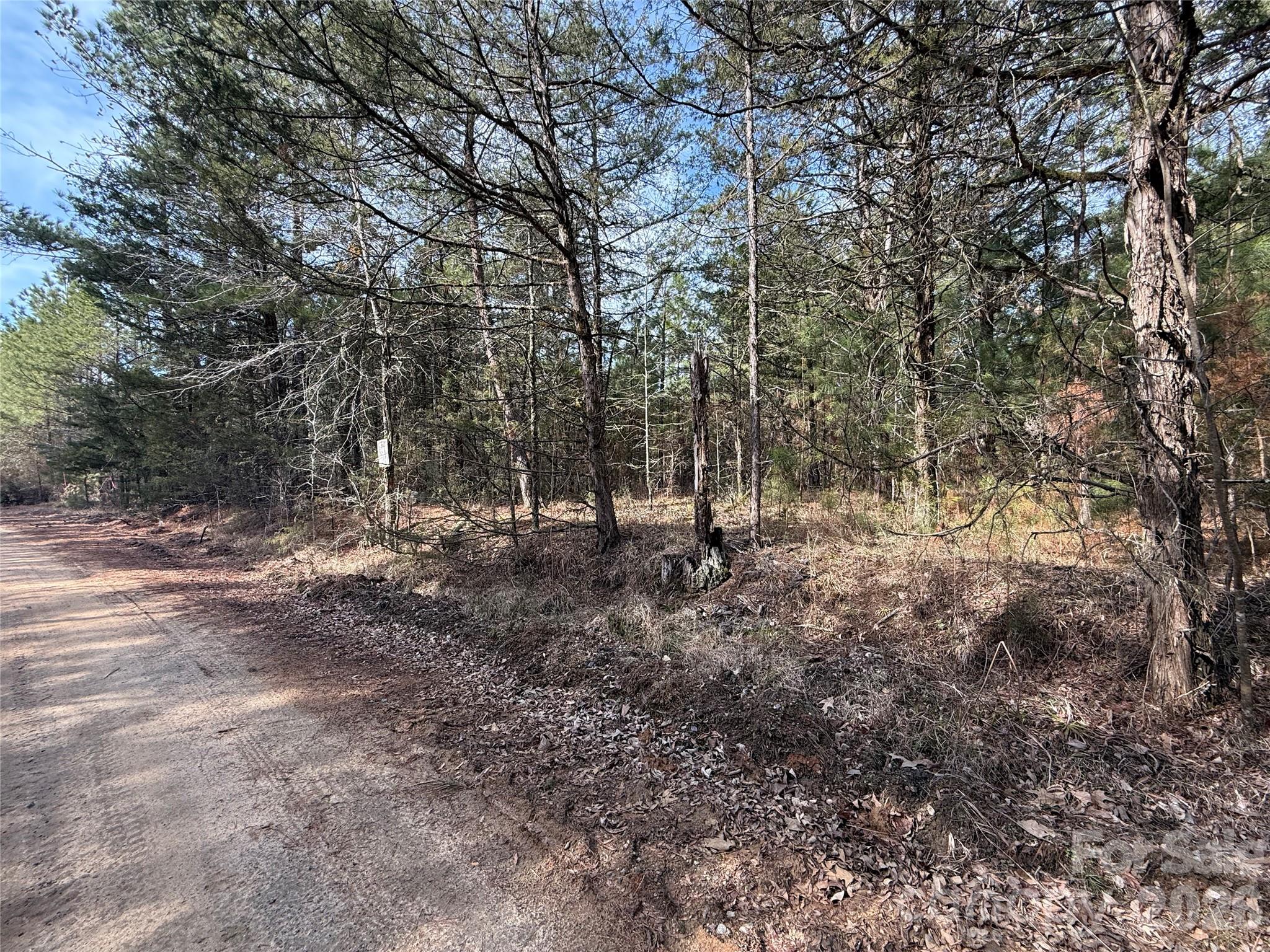 Tbd Tbd Old Catholic Church Road Blackstock, SC 29014 - Photo 8 of 9