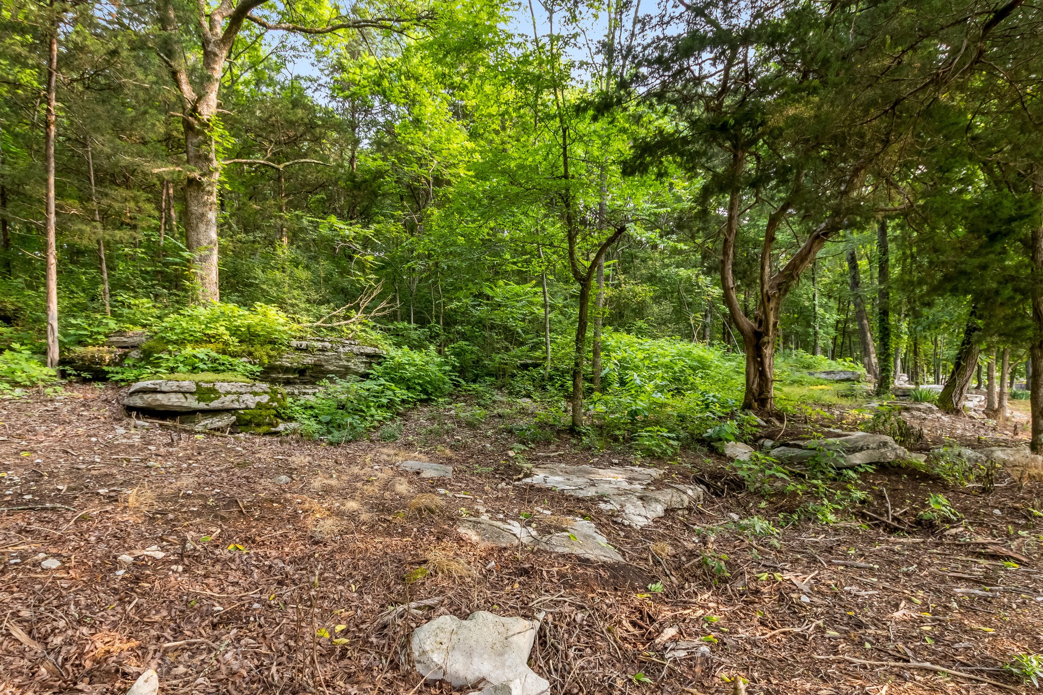 1049 Oregon Road Lascassas, TN 37085 - Photo 84 of 99